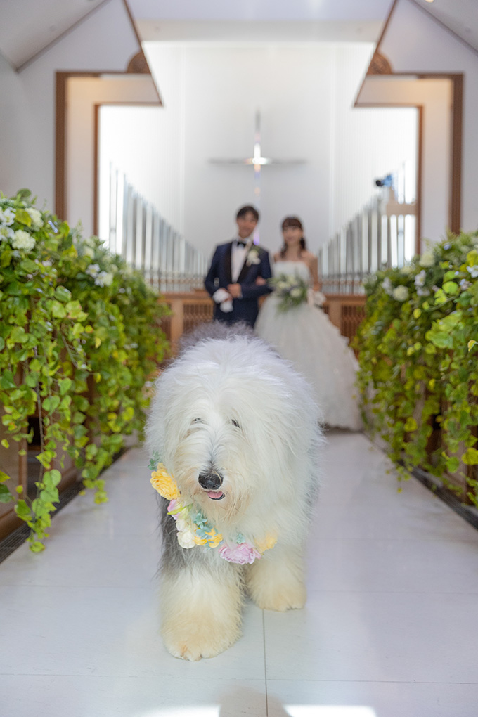 挙式　イメージ