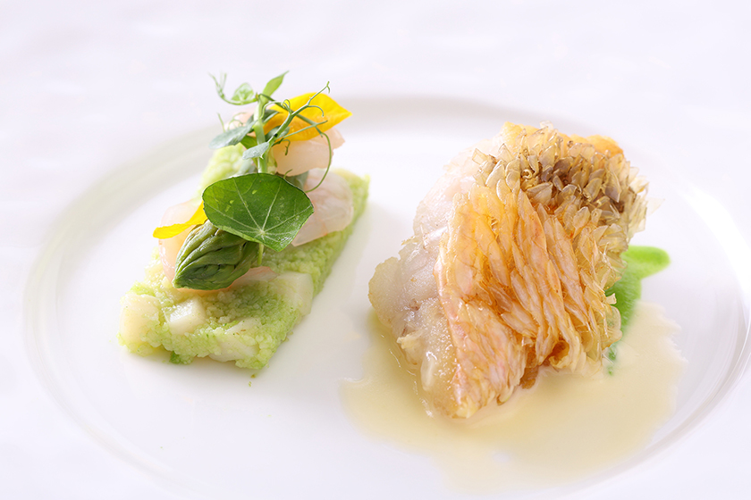 料理　イメージ